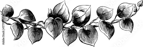 Vintage leaf ribbon and floral swag ornament design for decorative projects