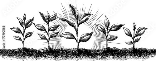 Tranquil morning with sprouting plants and dew, illuminated by gentle rays