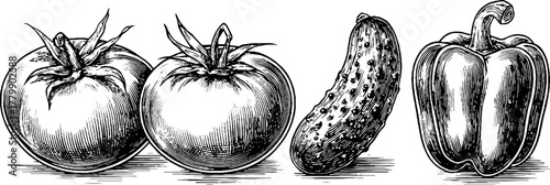 Vintage engraving style of tomato, cucumber, and bell pepper for retro design