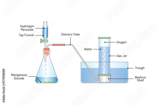 Oxygen Gas preparation Experiment Science Design. Vector Illustration.