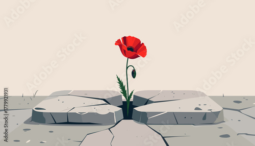 A lone poppy flower symbolizing resilience growing from a crack in the rocks