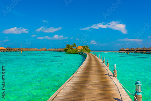 Fototapeta Naklejka Na Ścianę i Meble -  Tropical island beach landscape exotic shore coast. Tranquil closeup calm sea water waves with palm trees. Beautiful Panorama. Summer vacation, holiday amazing nature. Relax paradise, Maldives.