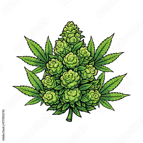 A vibrant green cannabis bud is shown in detail, surrounded by its iconic leaves on a clean background vector illustration.