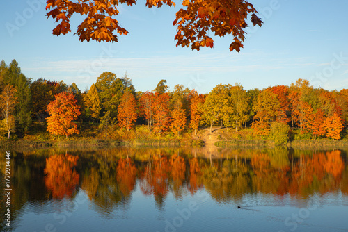 Bright sunny autumn landscape . Autumn picture. Photo for the autumn calendar. High quality photo