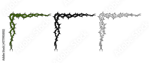 Elegant botanical corner frame, vector illustration