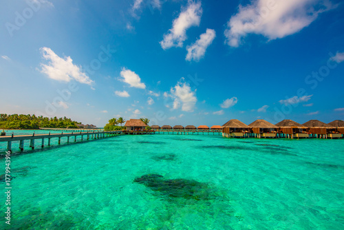 Fototapeta Naklejka Na Ścianę i Meble -  Tropical island beach landscape exotic shore coast. Tranquil closeup calm sea water waves with palm trees. Beautiful Panorama. Summer vacation, holiday amazing nature. Relax paradise, Maldives.