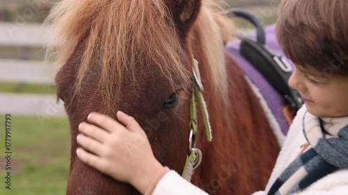 Equine assisted therapy. Little boy stroking beautiful pony in countryside. Lovely domesticated pet