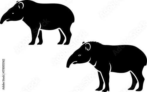 south american tapir