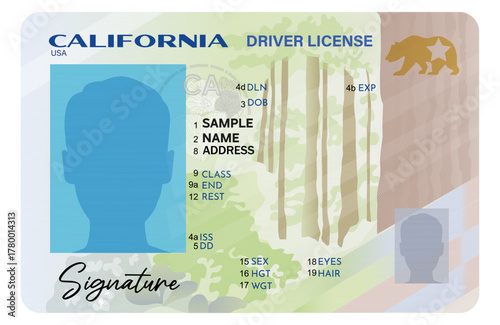California driver license isolated on white background. Person driver license.