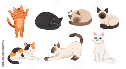Set of adorable domestic cat characters. Funny cartoon kittens of different breeds in various poses like sleeping, stretching, and sitting