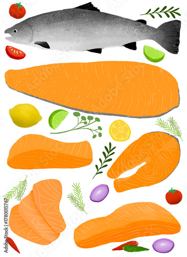 Salmon
