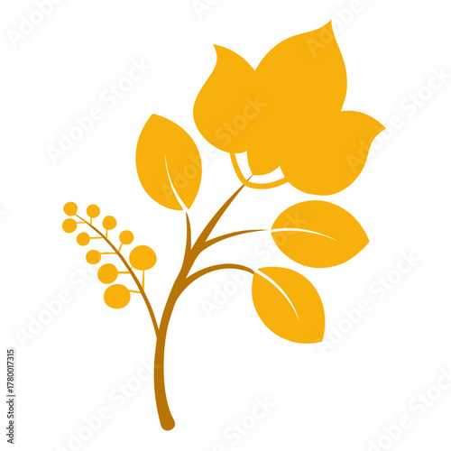 golden rain tree  flower silhouette on white background