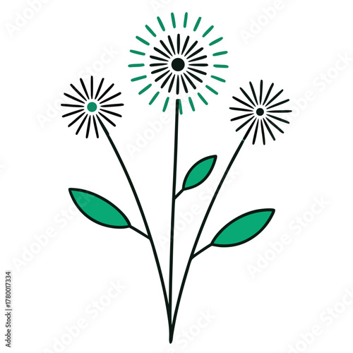 gomphrena fireworks line art  flower vector on white background
