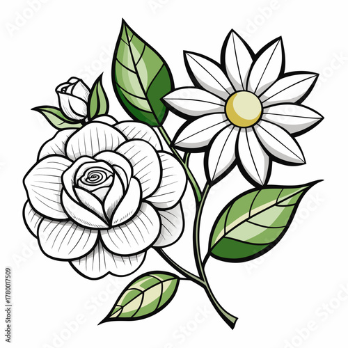 line art gardenia daisy hardy flower