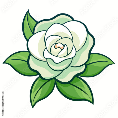 gardenia daisy hardy flower silhouette on white