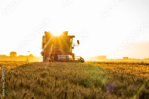 The combine is harvesting the wheat in the evening