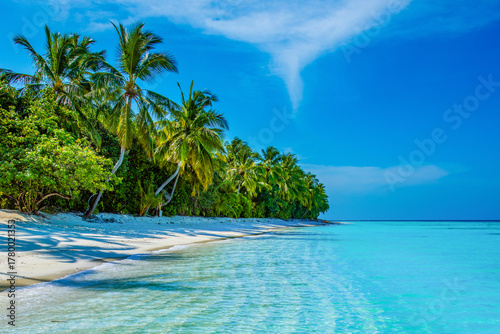 Fototapeta Naklejka Na Ścianę i Meble -  Tropical island beach landscape exotic shore coast. Tranquil closeup calm sea water waves with palm trees. Beautiful Panorama. Summer vacation, holiday amazing nature. Relax paradise, Maldives.