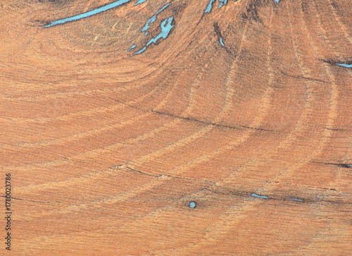Cherry, aged natural wood texture with blue artificial veins, close-up.