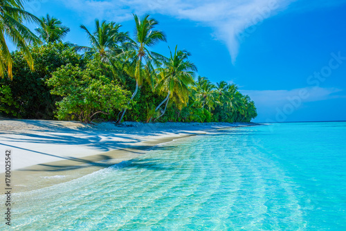 Fototapeta Naklejka Na Ścianę i Meble -  Beautiful Panorama. Tranquil closeup calm sea water waves with palm trees.Tropical island beach landscape exotic shore coast.  Summer vacation, holiday amazing nature. Relax paradise, Maldives.