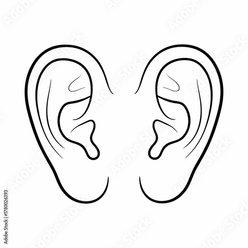vector illustration of an ear with a white background 