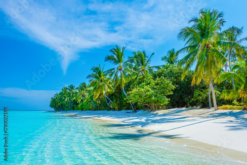 Fototapeta Naklejka Na Ścianę i Meble -  Tropical island beach landscape exotic shore coast. Tranquil closeup calm sea water waves with palm trees. Beautiful Panorama. Summer vacation, holiday amazing nature. Relax paradise, Maldives.
