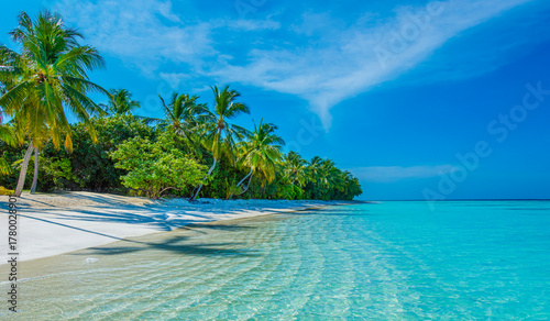 Fototapeta Naklejka Na Ścianę i Meble -  Summer vacation, holiday amazing nature. Relax paradise, Maldives. Tropical island beach landscape exotic shore coast. Tranquil closeup calm sea water waves with palm trees. Beautiful Panorama. 