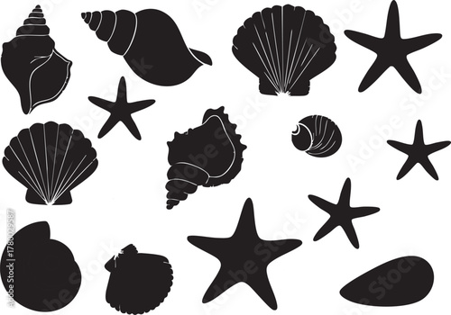 Set of different black sea shells and starfish vector illustration