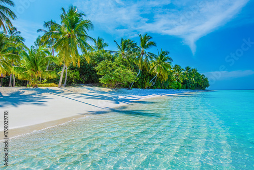 Fototapeta Naklejka Na Ścianę i Meble -  Tropical island beach landscape exotic shore coast. Tranquil closeup calm sea water waves with palm trees. Beautiful Panorama. Summer vacation, holiday amazing nature. Relax paradise, Maldives.