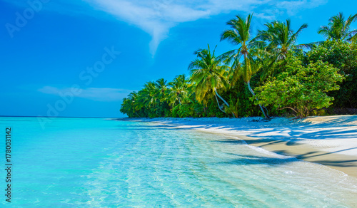 Fototapeta Naklejka Na Ścianę i Meble -  Tropical island beach landscape exotic shore coast. Tranquil closeup calm sea water waves with palm trees. Beautiful Panorama. Summer vacation, holiday amazing nature. Relax paradise, Maldives.
