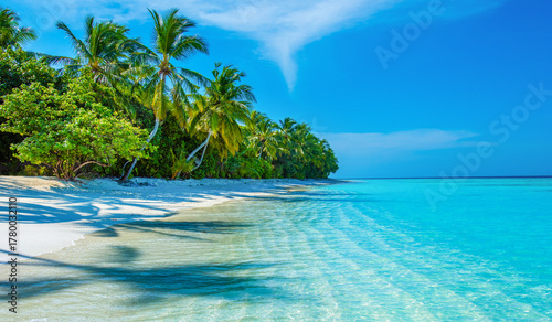 Fototapeta Naklejka Na Ścianę i Meble -  Tropical island beach landscape exotic shore coast. Tranquil closeup calm sea water waves with palm trees. Beautiful Panorama. Summer vacation, holiday amazing nature. Relax paradise, Maldives.