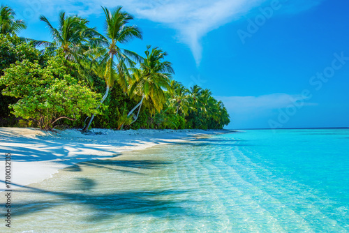 Fototapeta Naklejka Na Ścianę i Meble -  Tranquil closeup calm sea water waves with palm trees. Beautiful Panorama. Tropical island beach landscape exotic shore coast. Summer vacation, holiday amazing nature. Relax paradise, Maldives.