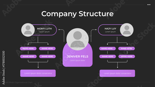 Company Structure Infographic
