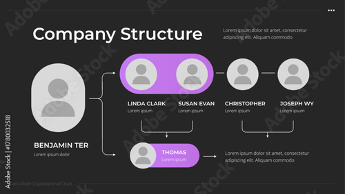 Company Structure Infographic