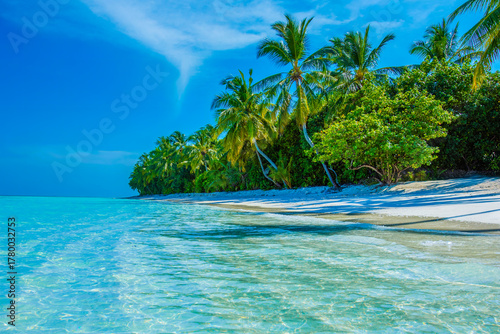 Fototapeta Naklejka Na Ścianę i Meble -  Tropical island beach landscape exotic shore coast. Tranquil closeup calm sea water waves with palm trees. Beautiful Panorama. Summer vacation, holiday amazing nature. Relax paradise, Maldives.