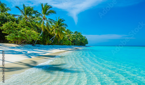Fototapeta Naklejka Na Ścianę i Meble -  Tranquil closeup calm sea water waves with palm trees. Beautiful Panorama. Tropical island beach landscape exotic shore coast. Summer vacation, holiday amazing nature. Relax paradise, Maldives.