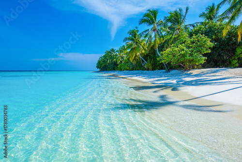 Fototapeta Naklejka Na Ścianę i Meble -  Tropical island beach landscape exotic shore coast. Tranquil closeup calm sea water waves with palm trees. Beautiful Panorama. Summer vacation, holiday amazing nature. Relax paradise, Maldives.
