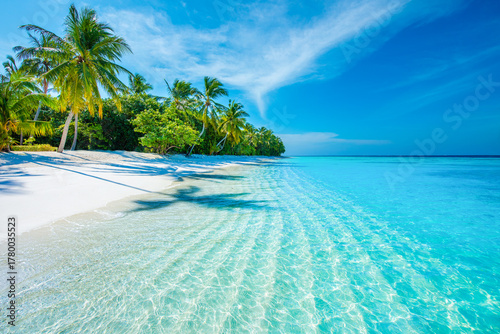 Fototapeta Naklejka Na Ścianę i Meble -  Tranquil closeup calm sea water waves with palm trees. Beautiful Panorama. Tropical island beach landscape exotic shore coast. Summer vacation, holiday amazing nature. Relax paradise, Maldives.