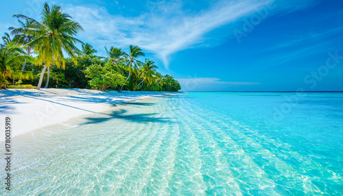Fototapeta Naklejka Na Ścianę i Meble -  Tropical island beach landscape exotic shore coast. Tranquil closeup calm sea water waves with palm trees. Beautiful Panorama. Summer vacation, holiday amazing nature. Relax paradise, Maldives.