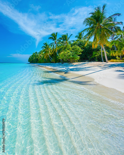 Tropical island beach landscape exotic shore coast. Tranquil closeup calm sea water waves with palm trees. Beautiful Panorama. Summer vacation, holiday amazing nature. Relax paradise, Maldives.