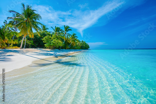Fototapeta Naklejka Na Ścianę i Meble -  Tropical island beach landscape exotic shore coast. Tranquil closeup calm sea water waves with palm trees. Beautiful Panorama. Summer vacation, holiday amazing nature. Relax paradise, Maldives.