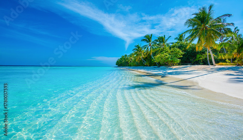 Fototapeta Naklejka Na Ścianę i Meble -  Tranquil closeup calm sea water waves with palm trees. Beautiful Panorama. Tropical island beach landscape exotic shore coast. Summer vacation, holiday amazing nature. Relax paradise, Maldives.