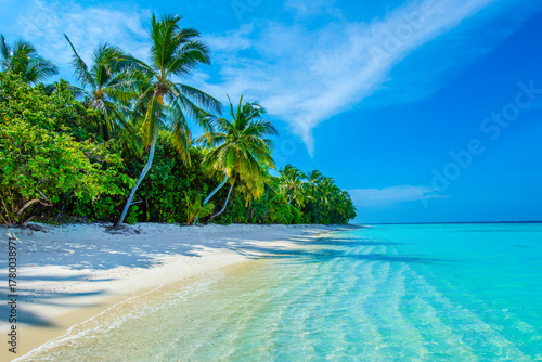 Fototapeta Naklejka Na Ścianę i Meble -  Tranquil closeup calm sea water waves with palm trees. Beautiful Panorama. Tropical island beach landscape exotic shore coast. Summer vacation, holiday amazing nature. Relax paradise, Maldives.