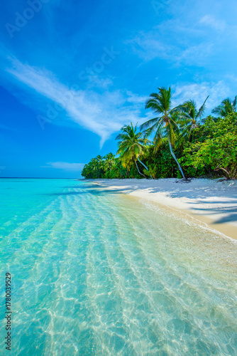 Tropical island beach landscape exotic shore coast. Tranquil closeup calm sea water waves with palm trees. Beautiful Panorama. Summer vacation, holiday amazing nature. Relax paradise, Maldives.