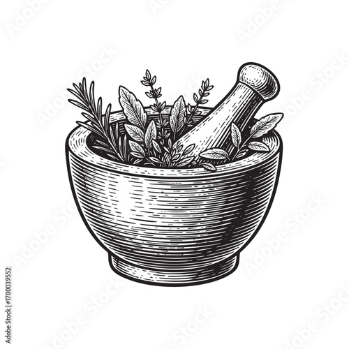 Mortar and Pestle with Herbs Apothecary Engraving Vector Illustration