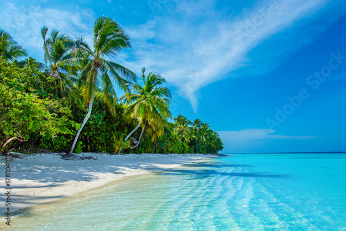 Fototapeta Naklejka Na Ścianę i Meble -  Tropical island beach landscape exotic shore coast. Tranquil closeup calm sea water waves with palm trees. Beautiful Panorama. Summer vacation, holiday amazing nature. Relax paradise, Maldives.