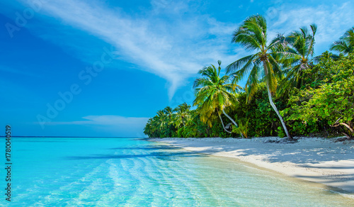 Fototapeta Naklejka Na Ścianę i Meble -  Tranquil closeup calm sea water waves with palm trees. Beautiful Panorama. Tropical island beach landscape exotic shore coast. Summer vacation, holiday amazing nature. Relax paradise, Maldives.