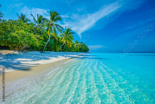 Fototapeta Naklejka Na Ścianę i Meble -  Tropical island beach landscape exotic shore coast. Tranquil closeup calm sea water waves with palm trees. Beautiful Panorama. Summer vacation, holiday amazing nature. Relax paradise, Maldives.