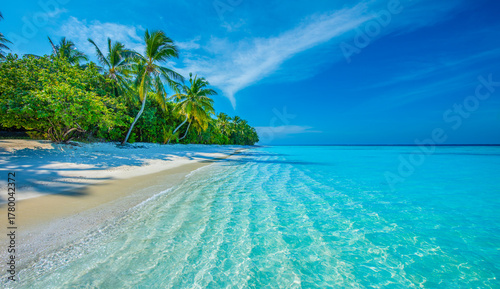 Fototapeta Naklejka Na Ścianę i Meble -  Tropical island beach landscape exotic shore coast. Tranquil closeup calm sea water waves with palm trees. Beautiful Panorama. Summer vacation, holiday amazing nature. Relax paradise, Maldives.
