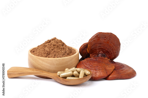 Reishi mushroom. Reishi mushroom powder capsules in wooden spoon and Reishi mushroom powder in wooden cups. isolated on white background.