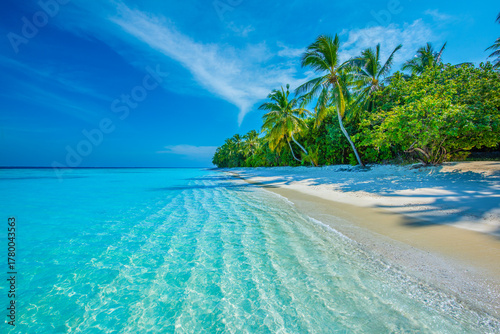 Fototapeta Naklejka Na Ścianę i Meble -  Tropical island beach landscape exotic shore coast. Tranquil closeup calm sea water waves with palm trees. Beautiful Panorama. Summer vacation, holiday amazing nature. Relax paradise, Maldives.